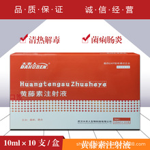 兽药兽用黄藤素注射液黄藤素清热解毒菌痢肠炎牛羊猪用