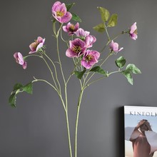 滨}QõNޱõѩõ山WҾӘӰgƵc廨bl