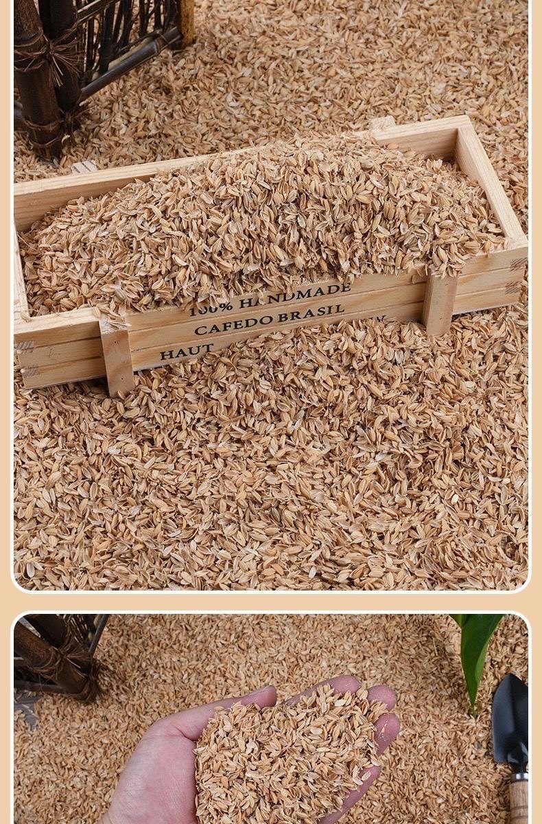 21f6e410-3e33-41d0-b326-f4a3f4dd7dd4.jpe