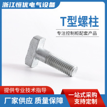 304���P�T�Ͳ�����˨�W���Ͳ� T����˨ ��Ҏ��T���ݽz