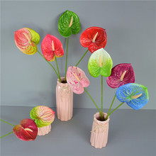 ����3D�t�Ɔ�֦���Q��һ���L혰����µ��_�I�c��廨���N��Ʒ