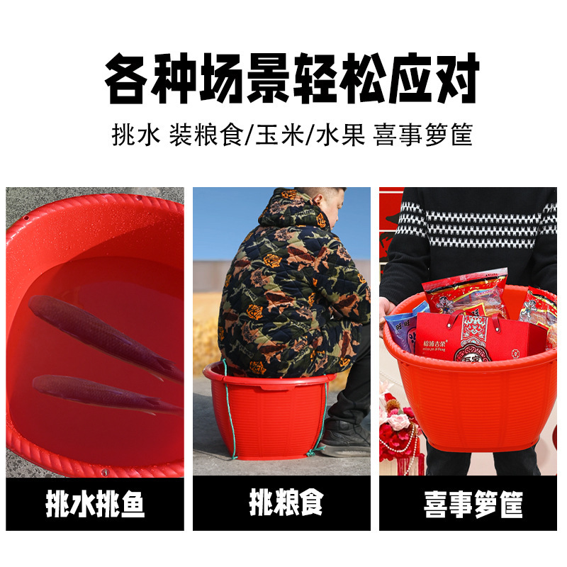 プラスチックのトランクは竹が食糧を編むのを防ぎます。|undefined