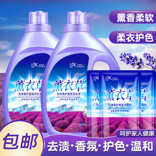 [Anchor Hot Selling] Lavender Laundry Liquid Whole Box Wholesale Fragrance Lasting Fragrance Deep Clean Factory Wholesale