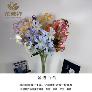 ����5�^��ٺϷ��滨Ұ�ٺϻ�c�Y�黨ˇ�Ҿ��b������ٻ������l