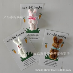2025�羳�¿� Cuddly Bunny Pocket Hug ���ӿڴ����� �ͻ��ͯ