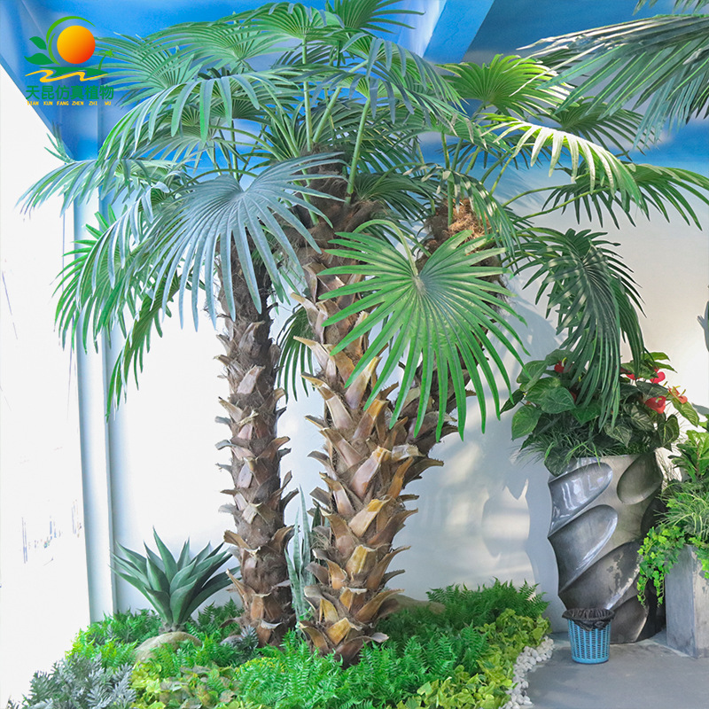 棕榈树4.jpg