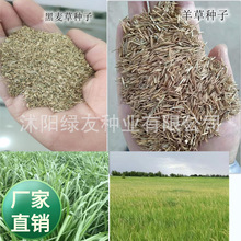 �N�ӹ�˾���l��ݷN�Ӳ����o�����ݾG���ݷN�������ţ���R����