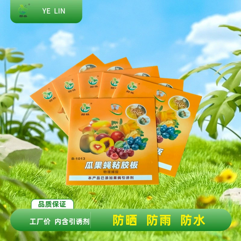 Гуандун Кокосовая роща Дыня и фрукты Липкая липкая ловушка Дрозофила Липкая липкая ловушка