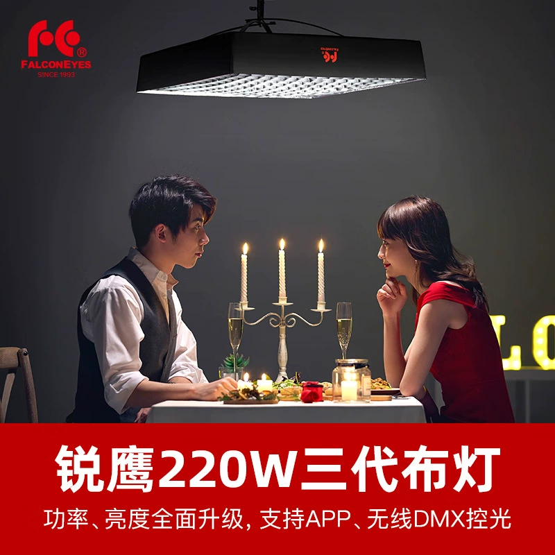 Двухцветная CCTV камера, LED подсветка, 220Вт