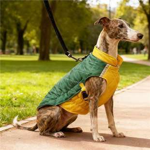 �`��Ȯ�����·��^�����R���д���Ȯ�¿�Ӻ�ů���ގ�����������