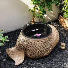 �������ͥԺ�ϰѳ�ϴ��̨���̨ˮ�����⻨�@ϴ�϶ղ��ط�ʯ���