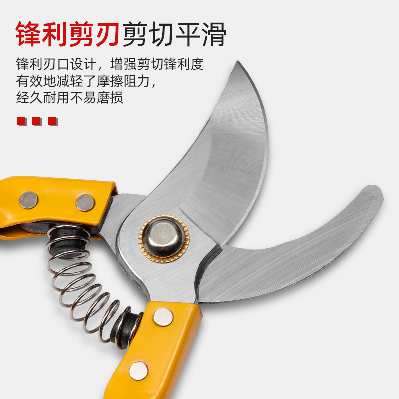 scissors stainless steel