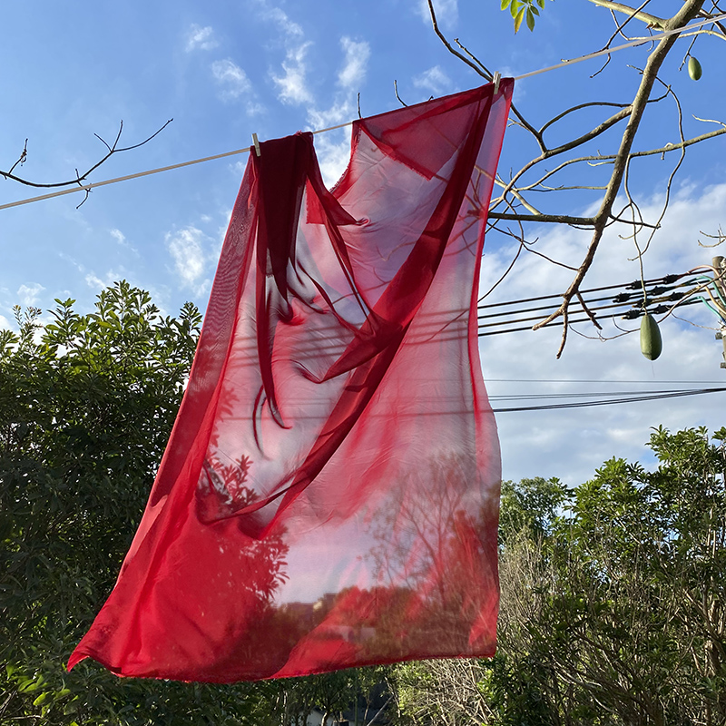 Cortina de estilo chino clásico, diseño de caligrafía y paisaje, ideal para interiores o fondos decorativos