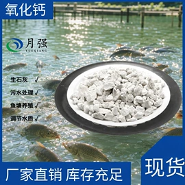 钙氧化物;其他非金属