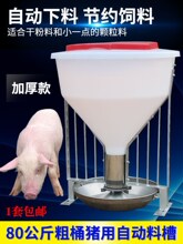 �i�ô�Ͱ�i�ϲ�80������ϲ��iʳ���ԄӲ��P��ϲ������i�Bֳ�O��