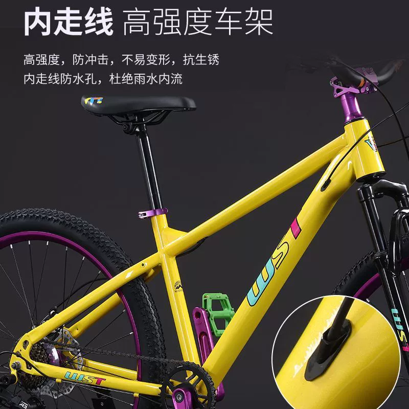 Профессиональный MTB с дисковым тормозом, внедорожный гоночный автомобиль для взрослых мужчин и женщин пожилых
