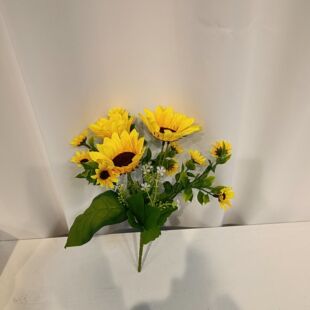 �������տ�13�^̫ꖻ��Ҿ��bٻ����^���տ��羳؛Դ�N�˴��l