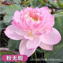 ^pɻˮBʳɏźNɏ˯ɏܷNNźˮֲ