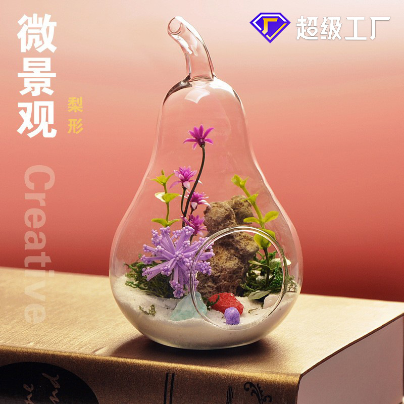 Creativo europeo DIY planta microscópica florero de cristal transparente flor hidropónica dispositivo moda accesorios para el hogar