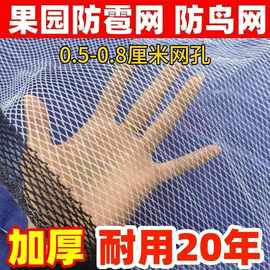 防雹网果园防鸟专用网农用防护网果树防冰雹神器蔬菜大棚防冰雹网