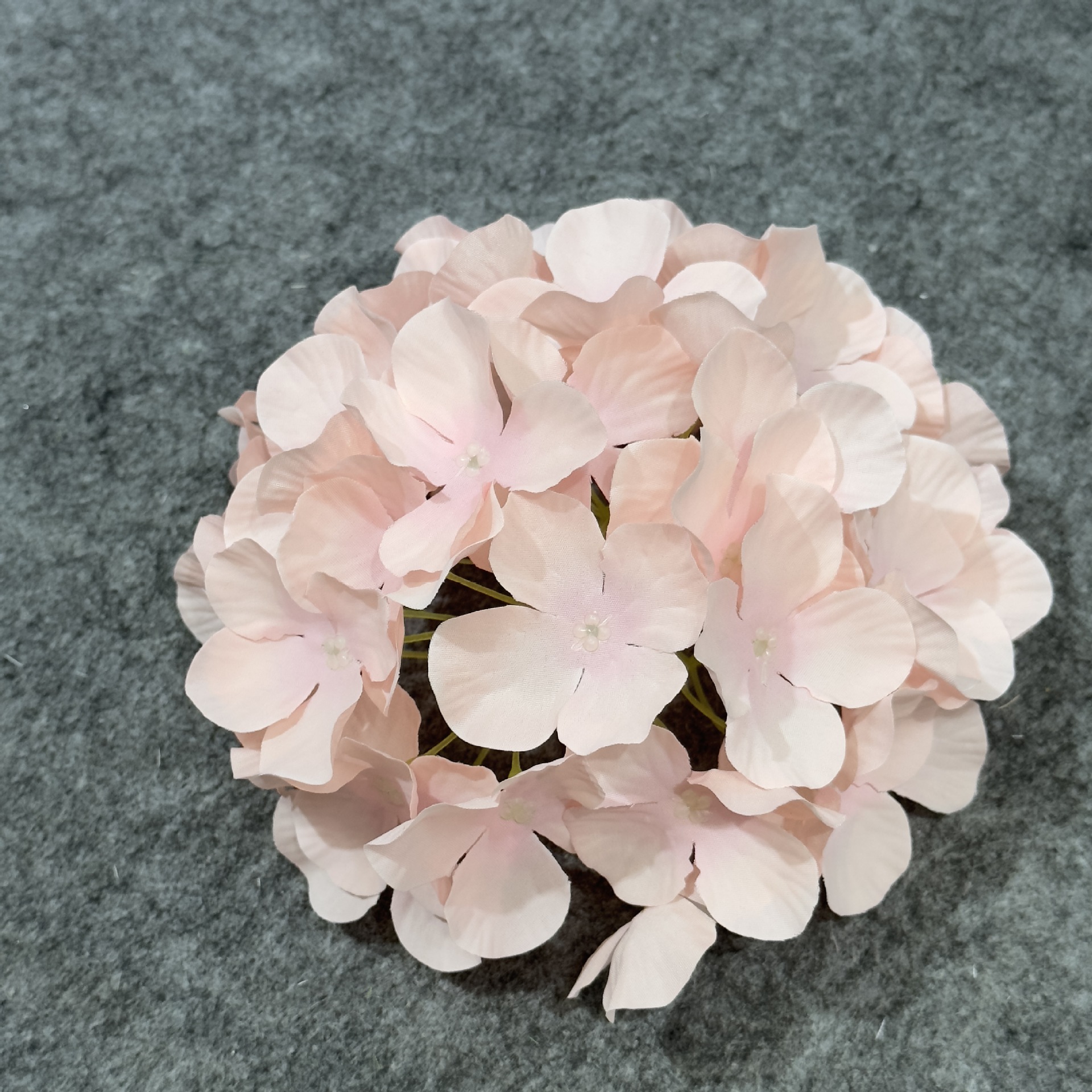 수국 꽃 머리 라이트 핑크