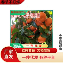 ɳ�ǽ��Ә���V��ɰ�����Ә����ĕ����Ә���޽ӽ�������������