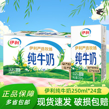 1月新货伊利纯牛奶24盒整箱营养早餐纯牛奶多规格可选