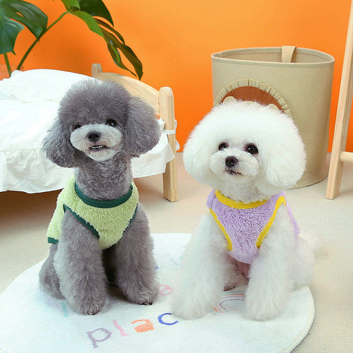 Pet clothes, new dog clothes, Pomeranian cute pet dog clothes, hanging traction warm clothes, full bear vest