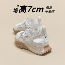 ħ�������к���˶���ЬŮ���⴩2026�¿��ѵЬ�ο�͸���ϵ�Ь��