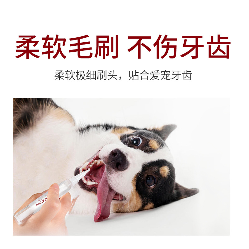 Japanese kojima pet tooth cleaning pen dog set cleaning artifact to reduce bad breath and tartar gel
