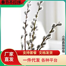 һ�����l�y�����y��������@�־G�������yѿ�����rֲ��ֲ��