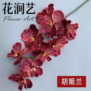 �羳���Q��Y��c�tɫ�����m���滨�����ٻ��Ҿ��b��S�F؛���l