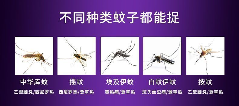 ec8b4f7d-a291-4fe3-90d8-fdf2c7042460.jpe