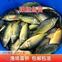 ~~絭ˮBֳo~BͻС~Oֱl