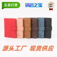 Universal passport case, polyurethane storage system for traveling, passport bag, (Physicals)