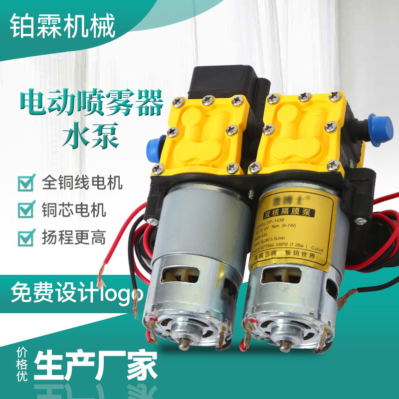 Electric sprayer water pump 12V high pressure car wash pump electric sprayer motor water pump intelligent high-power water pump Electric sprayer water pump 12V high pressure car wash pump electric sprayer motor water pump intelligent high-power water pump