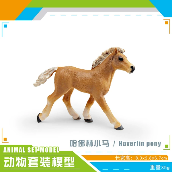 PL127-738 Harvard Forest Pony 35g