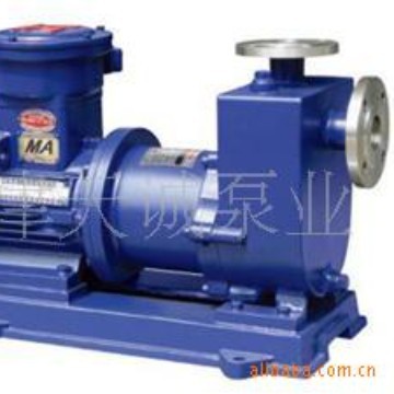 ZCQ系列自吸式磁力泵 不锈钢泵 磁密封泵 铜轮磁力泵 船用泵