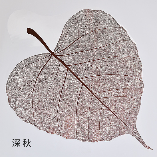 Una hoja de bodhi hoja transparente ramo de flores en papel floral material de embalaje de flores de papel de forma especial florista materiales de flor al por mayor