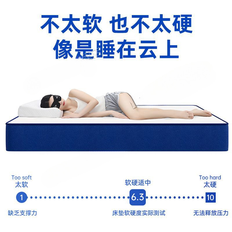頤舎ブルーメモリーコットンケースラテックス真空巻き圧縮畳スプリングマットレス席夢思クッション家庭用|undefined