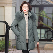 ���Z�q��Ů���L������2025�ﶬ�¿���Ӻ�ů��q����ë�I