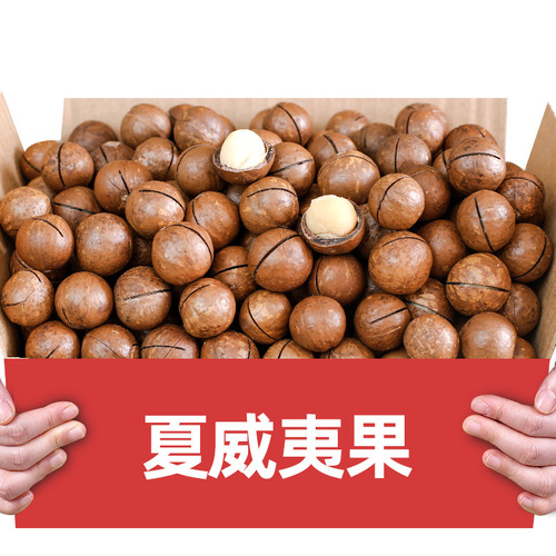 Casual gift pack, snacks, daily nuts, dried fruits, New Year's goods, pistachios, macadamia nuts, roasted seeds and nuts, three wholesale squirrels