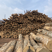 �򘶺ӵ����~��ľ����Ѵ�����S���ɻ���