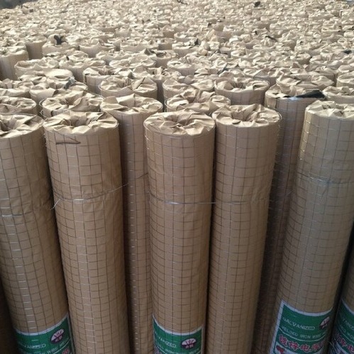 供应镀锌网  深圳筛网  电焊网 龙岗筛网