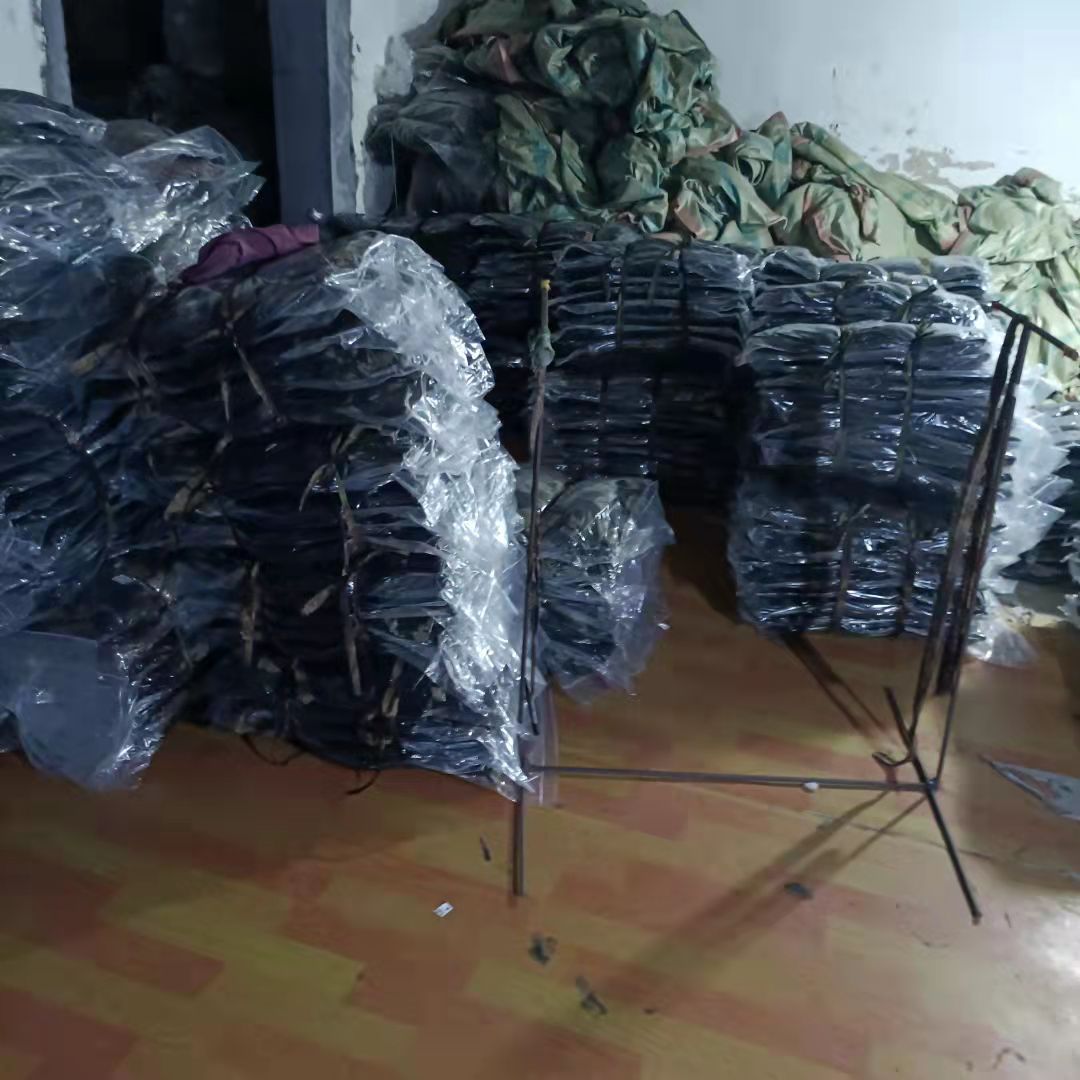 d177a6d03d739837ebdbf7342e59c3