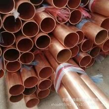 �S�ҹ���T2���~�� TP2���~���{�P�� C1100��ڏ�������~��