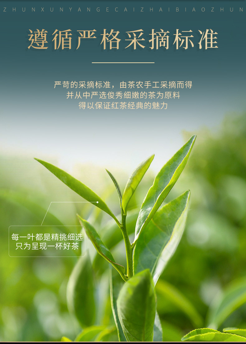 详情页_11.jpg