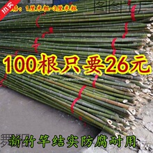 竹竿大量批发竹杆子菜园搭架竹子户外旗杆围栏黄瓜豆角爬藤菜架架