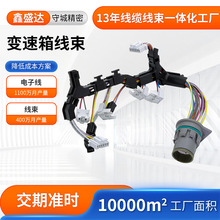 变速箱线束 汽车内部传动线束 发动机独立布线线束