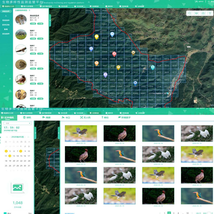 Bird species AI intelligent identification software cloud platform…